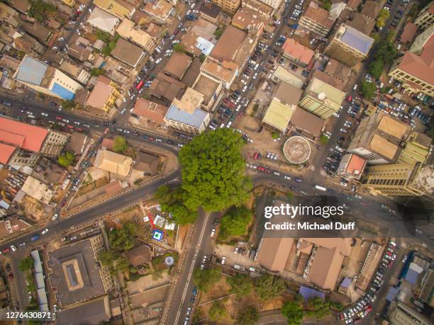 aerial view of cotton tree in sierra leone - sierra leone beach stock pictures, royalty-free photos & images