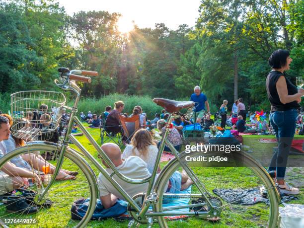 crowd of people in park, picnic. - small concert stock pictures, royalty-free photos & images