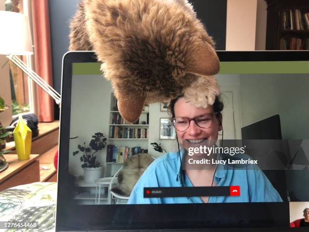 video call with cat joining in - 2 people playing joke imagens e fotografias de stock