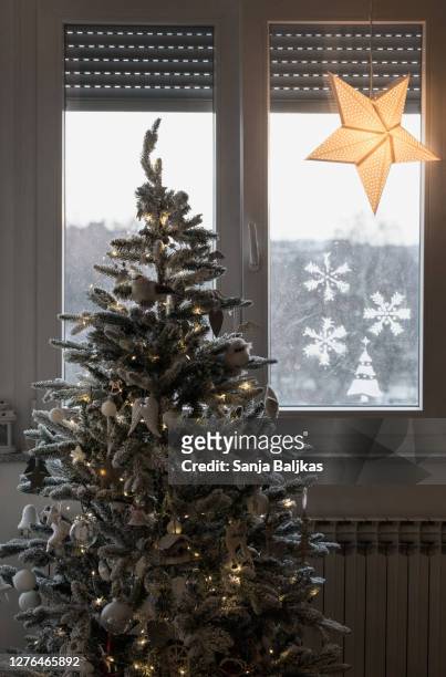 christmas tree near the window - christmas tree close up stock pictures, royalty-free photos & images