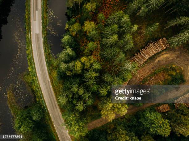 view of forest trees and road in nature from above landscape in sweden drone image - västra götaland county imagens e fotografias de stock