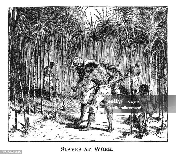 old engraved illustration of slaves at work - sklaven stock-fotos und bilder