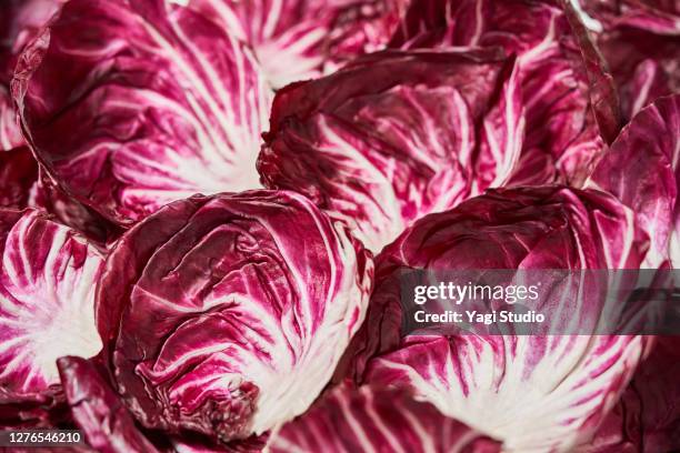 treviso leaves spread all over the ground - radicchio foto e immagini stock