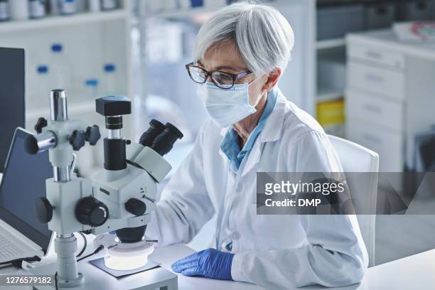 validating her hypothesis through lab-based tests - science hypothesis stock pictures, royalty-free photos & images