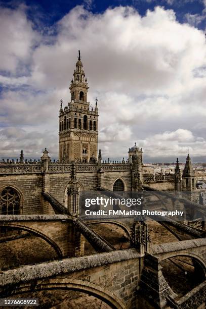 giralda de sevilla desde la catedral - catedral de sevilla fotografías e imágenes de stock