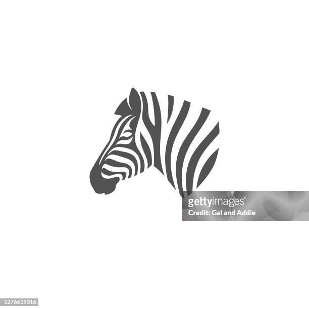 bildbanksillustrationer, clip art samt tecknat material och ikoner med zebra huvud - zebra