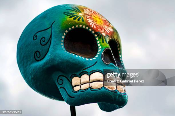 a day of the dead display - sugar skull stock pictures, royalty-free photos & images