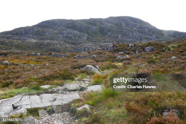 104 Rhinogydd Stock Photos, High-Res Pictures, and Images - Getty Images