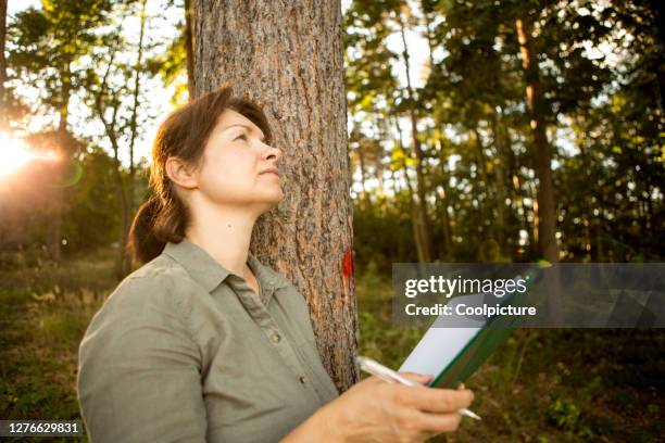 Study Of Trees Photos and Premium High Res Pictures - Getty Images