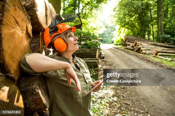 deforestation - holzfäller stock-fotos und bilder