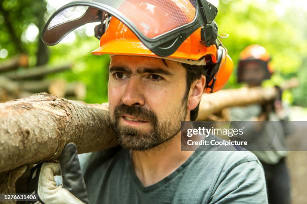 deforestation - lumberjacks. - waldarbeiter stock-fotos und bilder