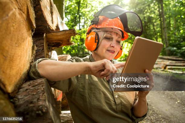 deforestation - forester stock pictures, royalty-free photos & images