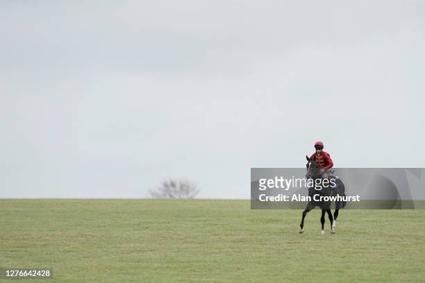 Oisin Murphy eases down up the hill after riding Kameko to win The Shadwell Joel Stakes at Newmarket Racecourse on September 25, 2020 in Newmarket,...
