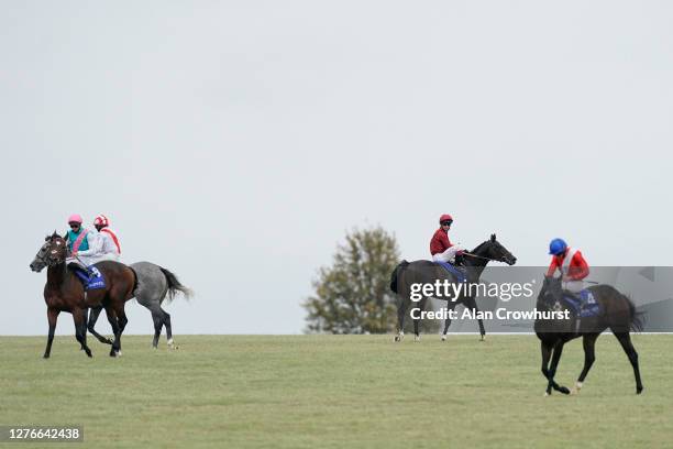 Oisin Murphy eases down up the hill after riding Kameko to win The Shadwell Joel Stakes at Newmarket Racecourse on September 25, 2020 in Newmarket,...