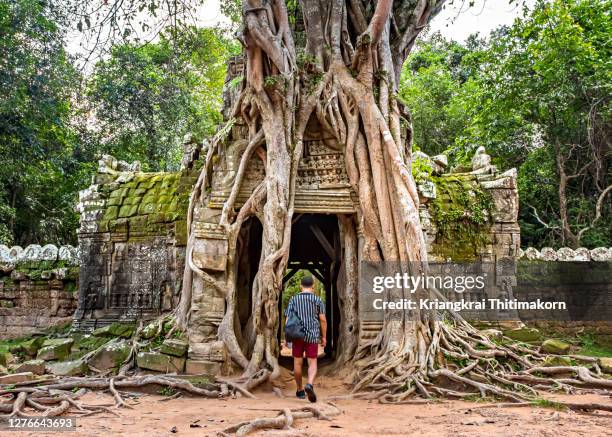 tree cover the gate at ta som temple at angkor wat, cambodia. - templo ta prohm imagens e fotografias de stock