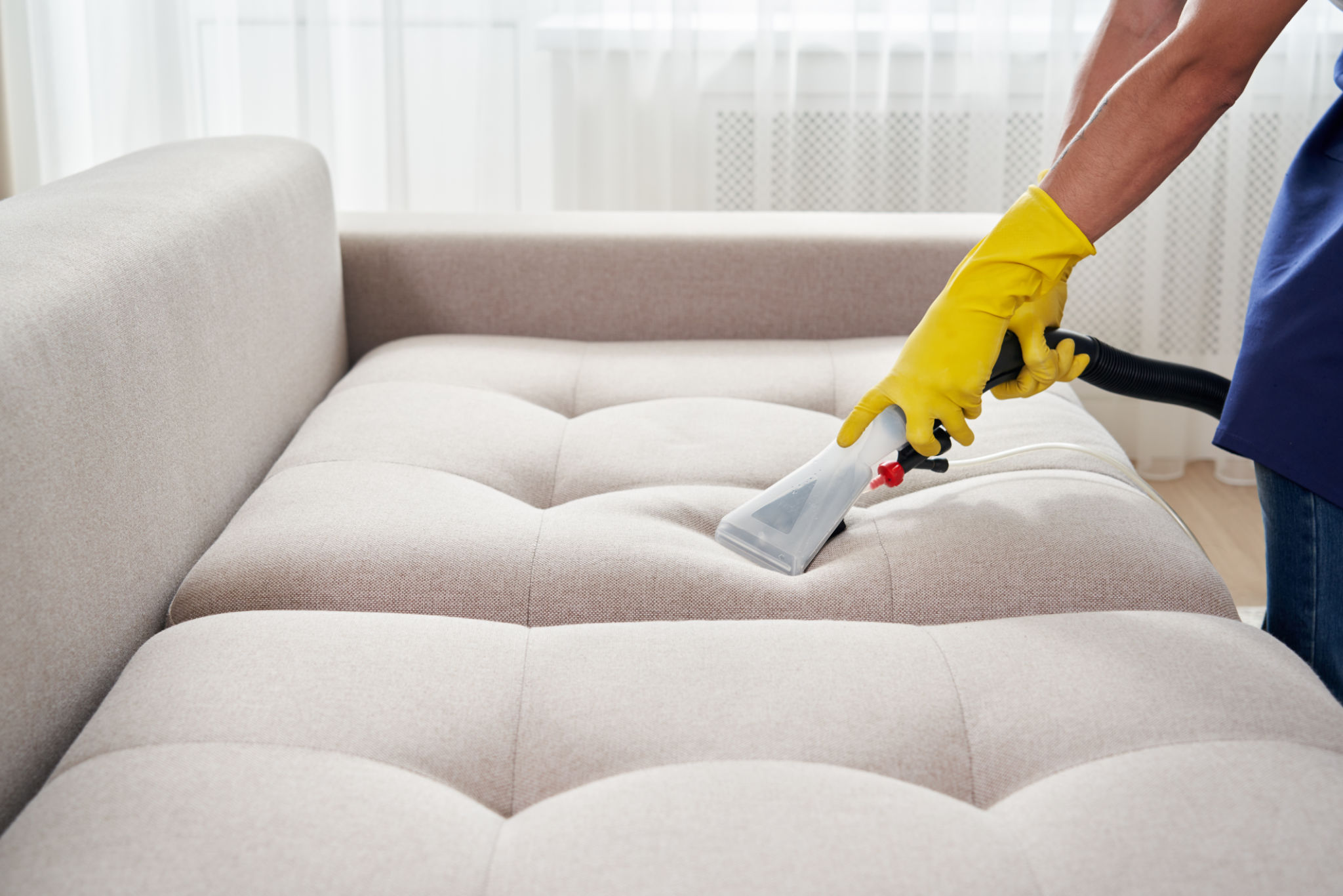 cleaning sofa