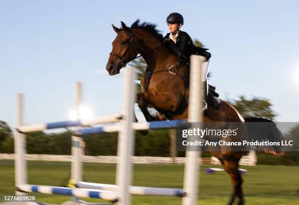 a young equestrain female making a jump. - hindernisrace paardenrennen stockfoto's en -beelden