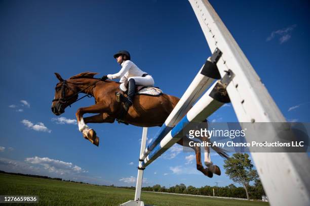 a young equestrain completing a jump - reitsport stock-fotos und bilder