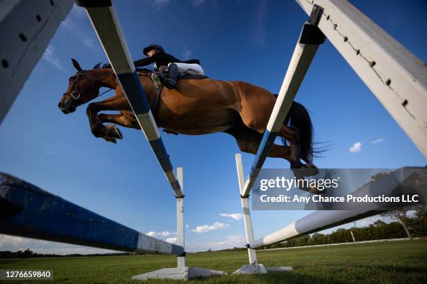 side view of a young female equestrain making a jump - girl jumping stockfoto's en -beelden