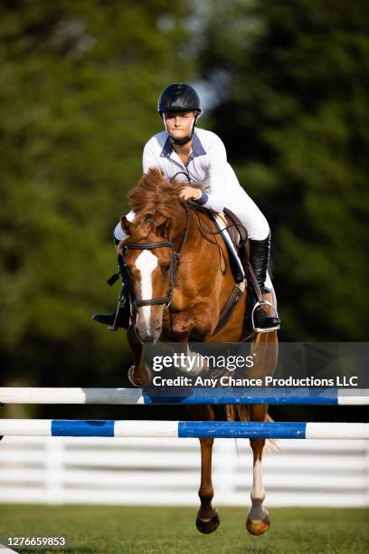 a young equestrian rider making a jump. - mare stock pictures, royalty-free photos & images