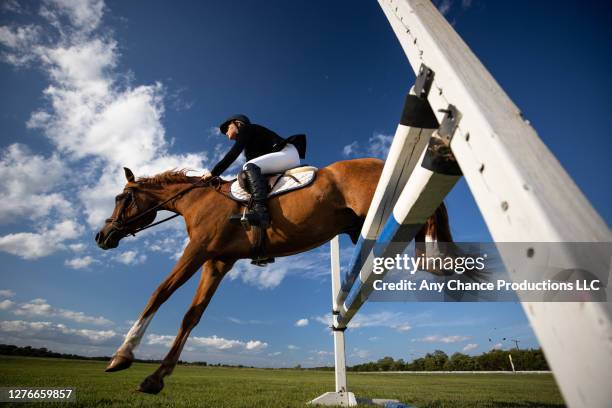 a young equestrain completing a jump. - steigbügel stock-fotos und bilder