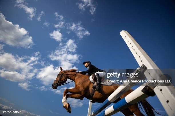 a young female rider completing a jump - hurdling horse racing fotografías e imágenes de stock