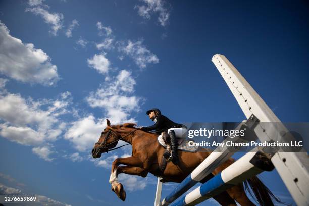 a young female rider completing a jump - corrida de cavalos evento equestre - fotografias e filmes do acervo