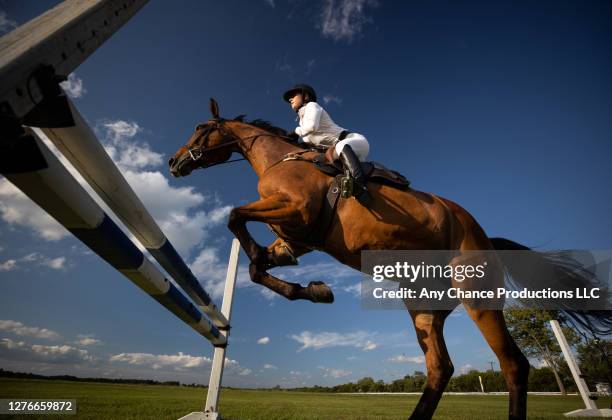 a young equestrain making a jump - springreiten stock-fotos und bilder