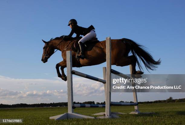 a side view of  young equestrain  female making a jump. - hindernisrace paardenrennen stockfoto's en -beelden