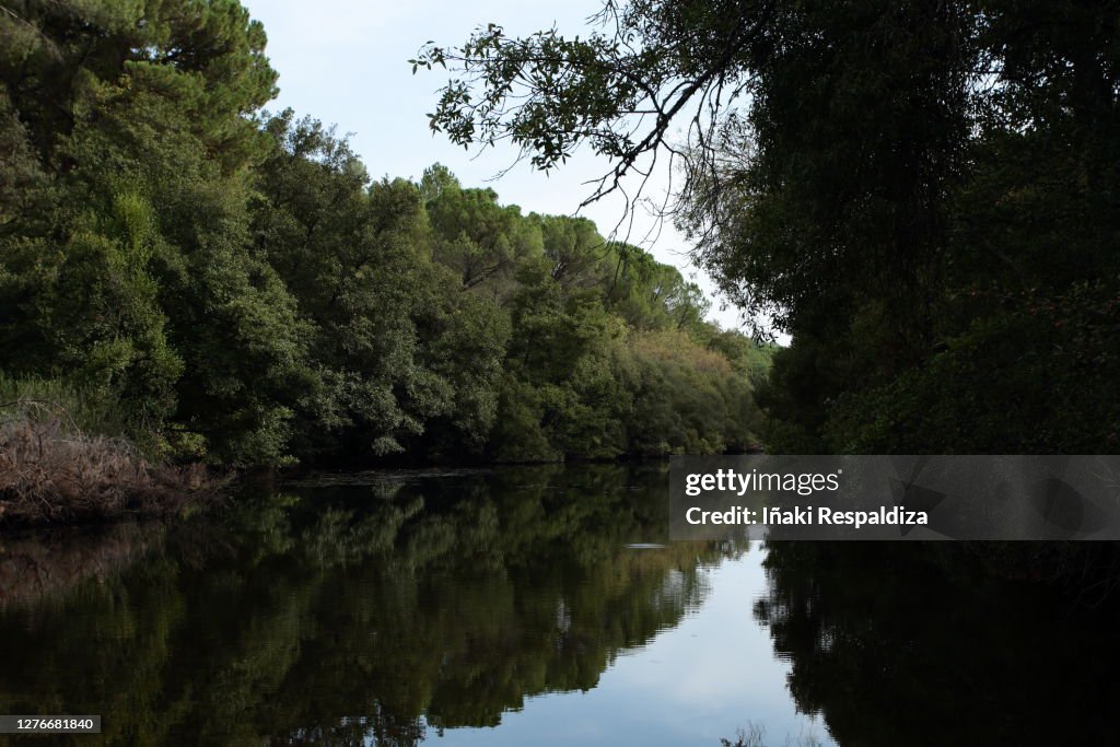 Arroyo del Bejarano