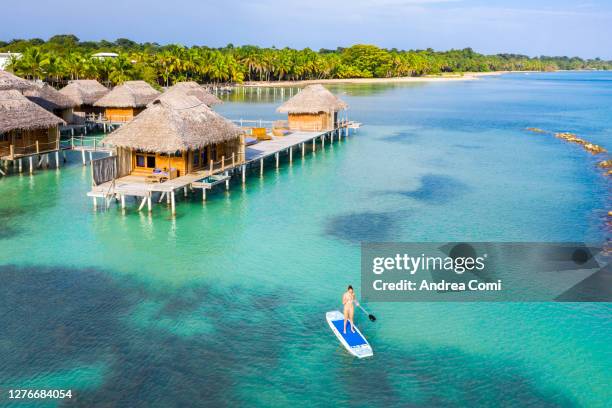 tourist doing stand up paddle boarding on the sea. panama - bocas del toro stock pictures, royalty-free photos & images