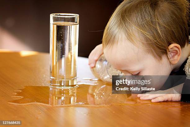 boy sipping water from table - spilled drink stock pictures, royalty-free photos & images