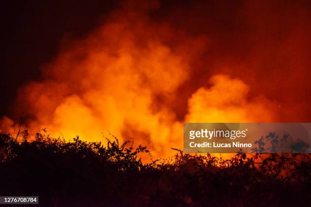 forest fires in pantanal wetlands - amazon rainforest burning stock pictures, royalty-free photos & images