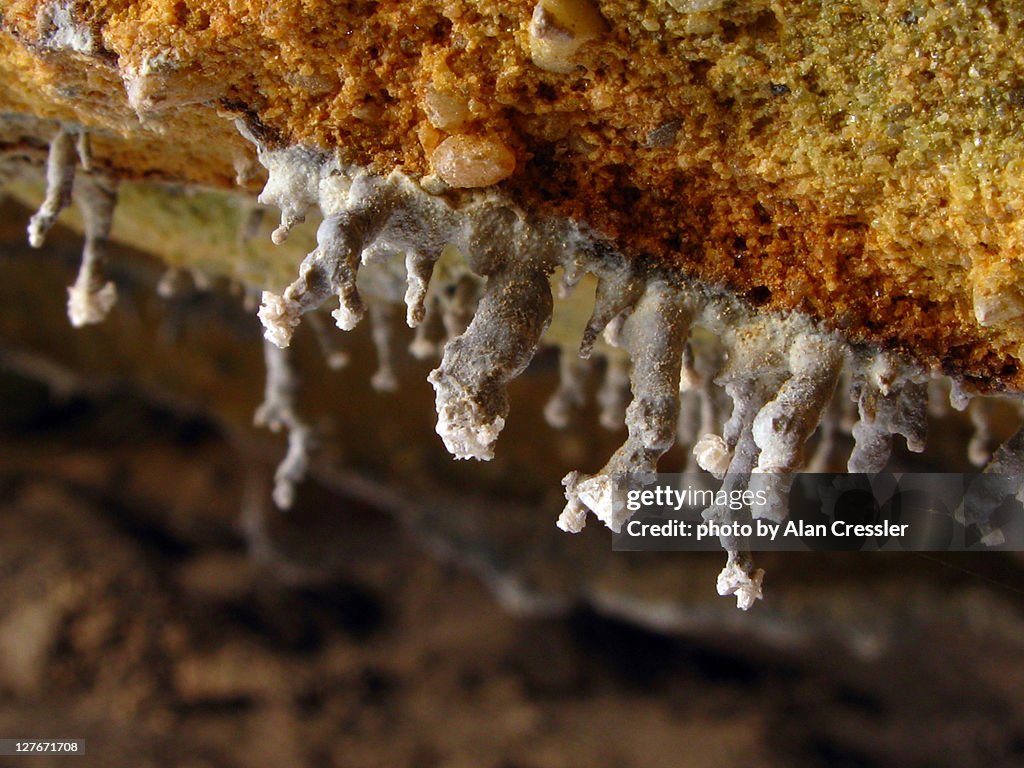 Silica mineral formations