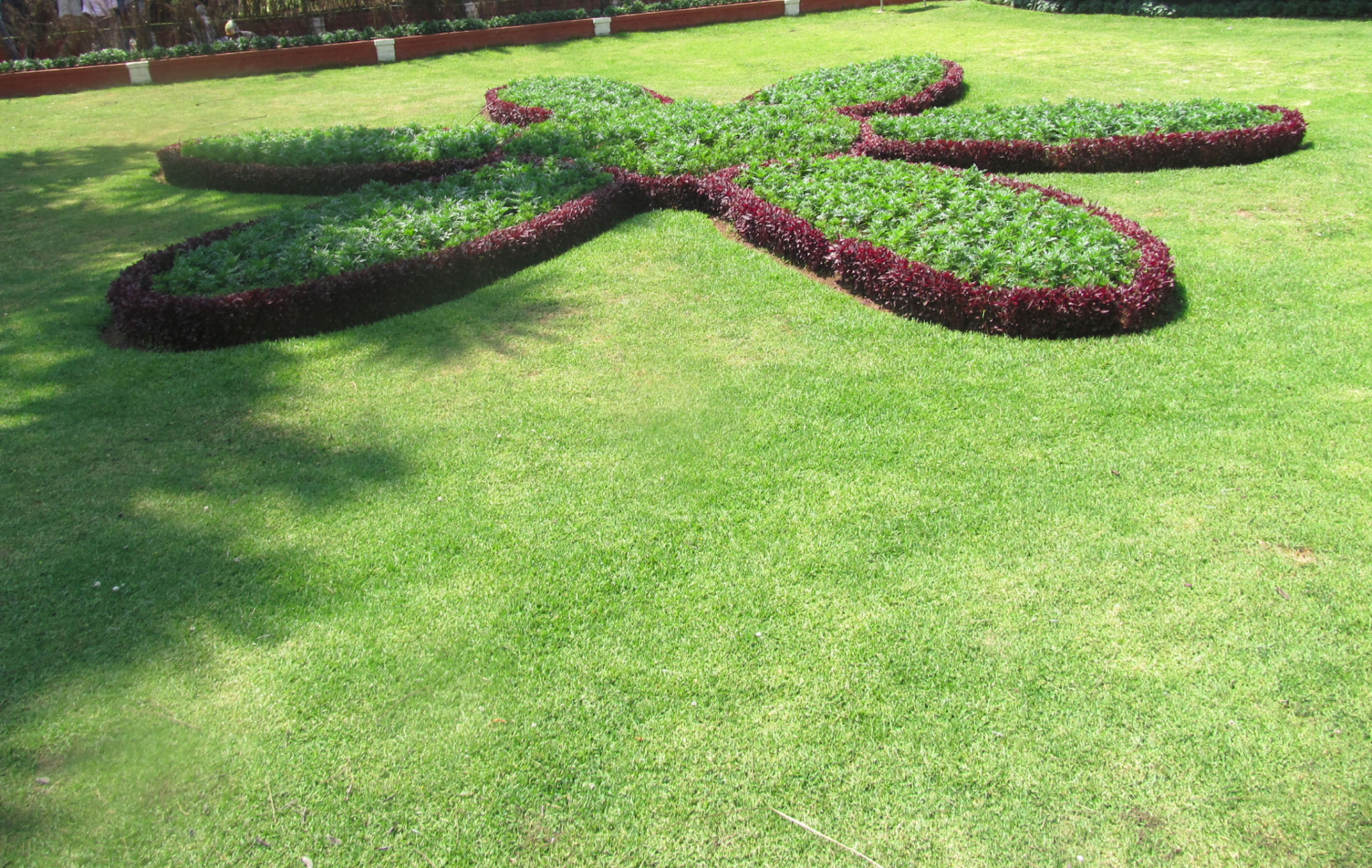 jardinería césped