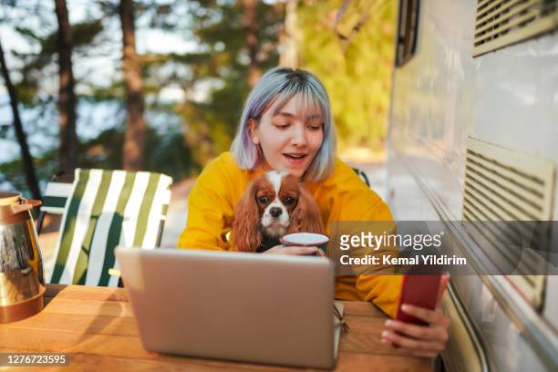 jong meisje dat videovraag bij kamp met haar hond heeft - coffee chat stockfoto's en -beelden