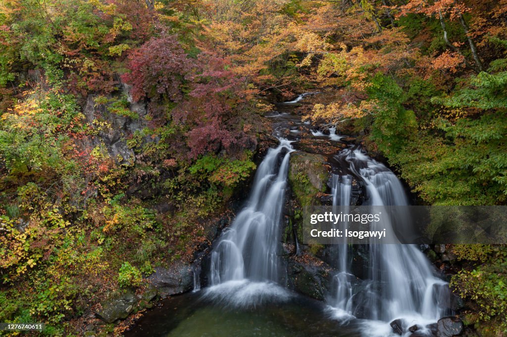 Autumn Leaves Waterfalls