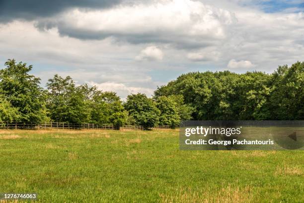 open grass area and wooden fence in the forest - open country ストックフォトと画像