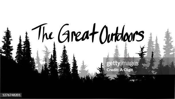 the great outdoors - treelined stock illustrations