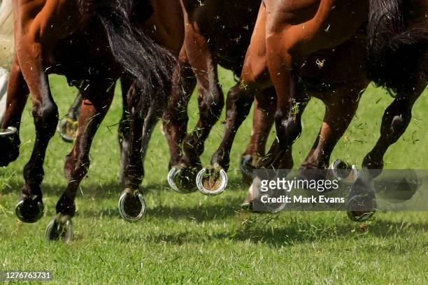 Horses hooves are seen during Sydney Racing at Rosehill Gardens on September 26, 2020 in Sydney, Australia.