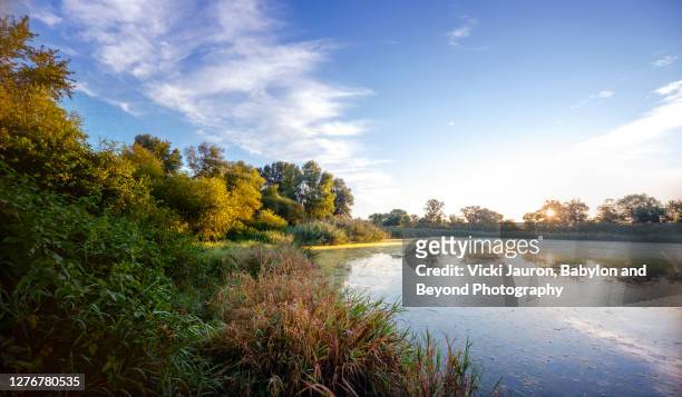 beautiful early morning scenic over pond at sunrise in chester county, pennsylvania - pennsylvania stock-fotos und bilder