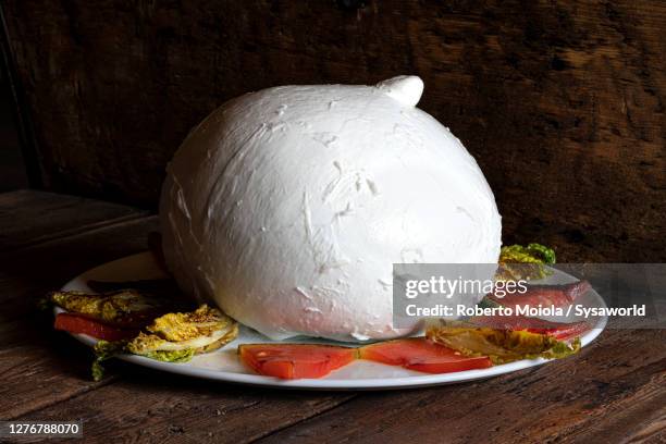 mozzarella di bufala zizzona of battipaglia, italy - mozzarella fotografías e imágenes de stock