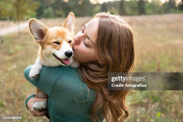 ritratto: giovane donna con cucciolo di corgi, sfondo naturale - pembroke welsh corgi puppy foto e immagini stock