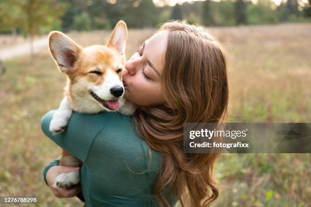 portrait: young woman with corgi puppy, nature background - pecking imagens e fotografias de stock