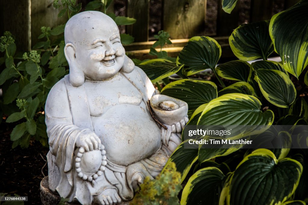 Buddha