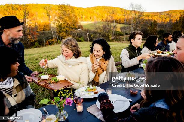 man serving food to guests at dinner party in field - käse essen stock-fotos und bilder