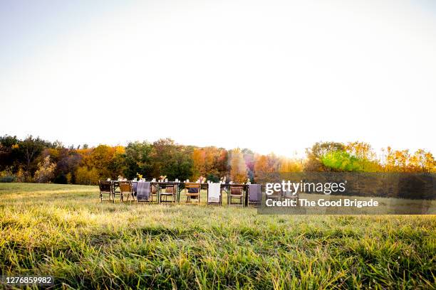 empty dinner table in field during autumn - rustic dinner party stock pictures, royalty-free photos & images