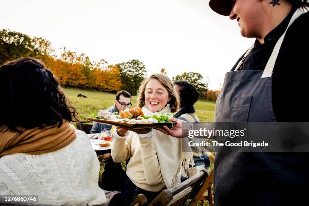 chef serving food to friends at dinner party in field - catering stock-fotos und bilder