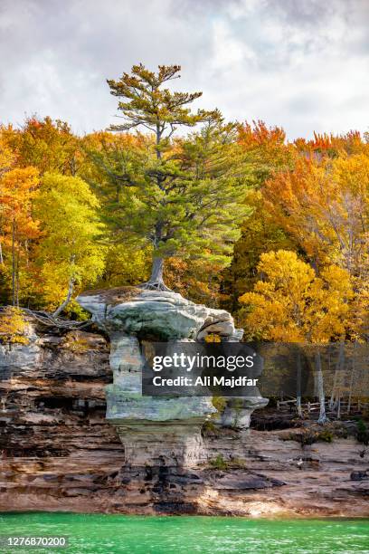 fall colors in pictured rocks national lakeshore - upper peninsula stockfoto's en -beelden