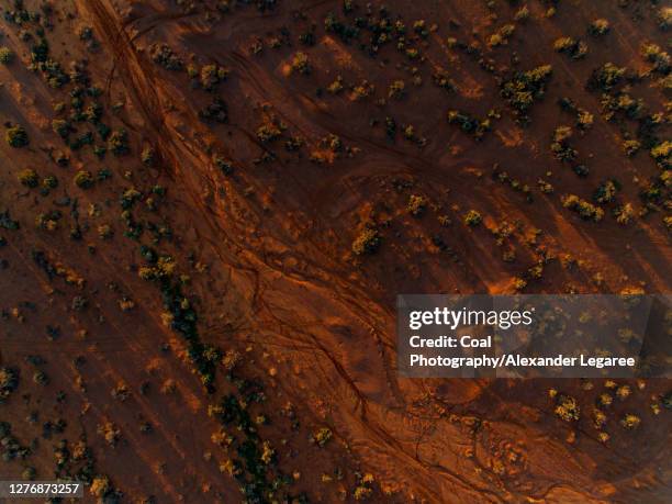 drone photo of the australian outback at sunrise - australisches buschland stock-fotos und bilder